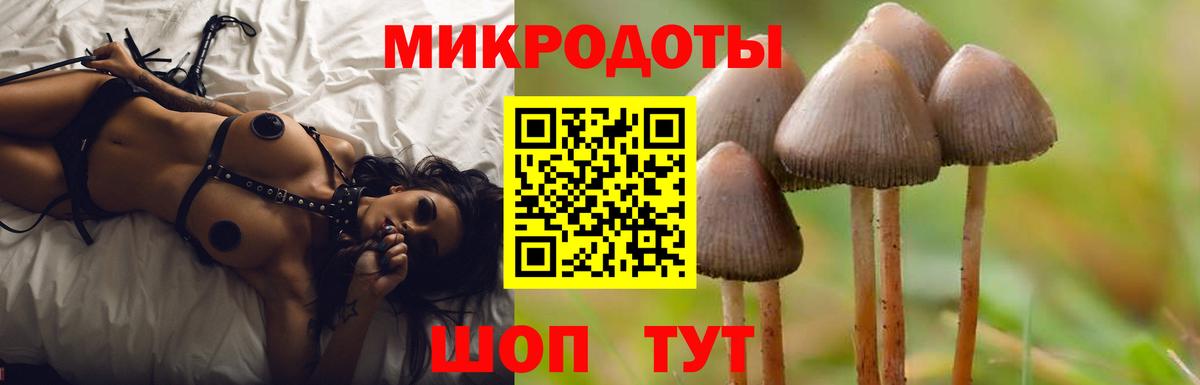 Псилоцибиновые грибы Psilocybine cubensis  Вход с VPN  сколько стоит  Псилоцибиновые грибы Magic Shrooms  Первоуральск 